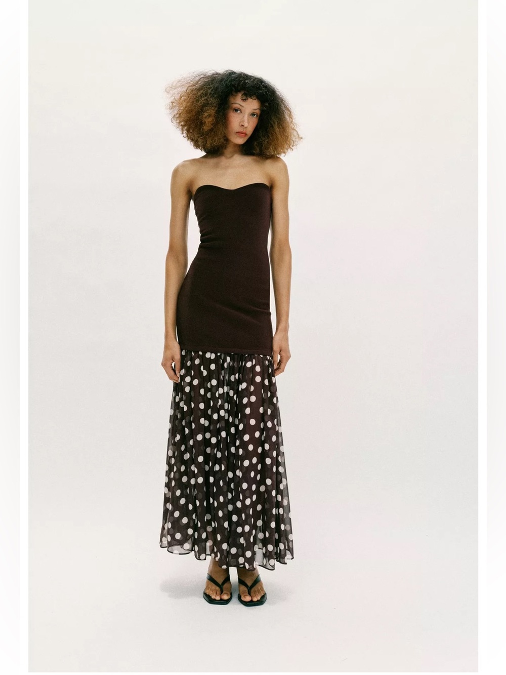 Zara • Brown Polka Dot Dress